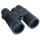 Zen-Ray Vista 10x42 Binoculars BN-10VISTA-1042